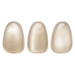 Gel Lak Korean Cat 1 10g